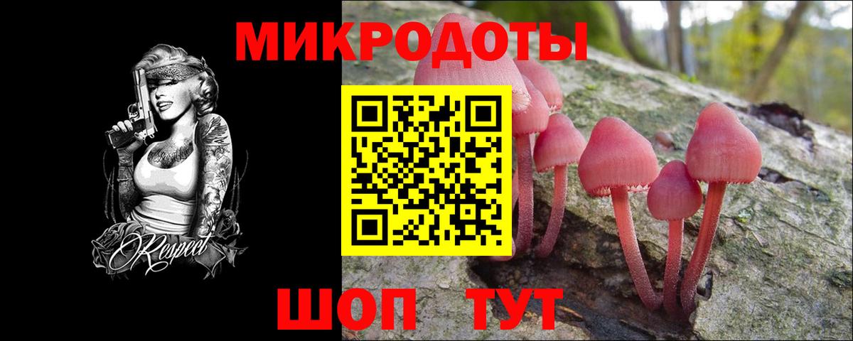 Галлюциногенные грибы Magic Shrooms  Галлюциногенные грибы Psilocybe  Нижний Новгород  Вход с VPN 