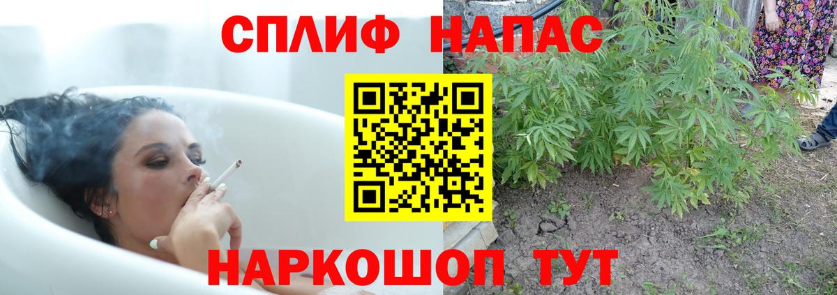 Шишки марихуана THC 21%  МАРИХУАНА индика  Нижний Новгород  Вход с VPN  Бошки Шишки сатива 